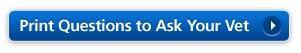 Questions to Ask Your Vet
