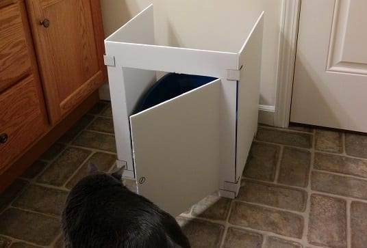 Gray cat sniffing cardboard cat litter box stall.