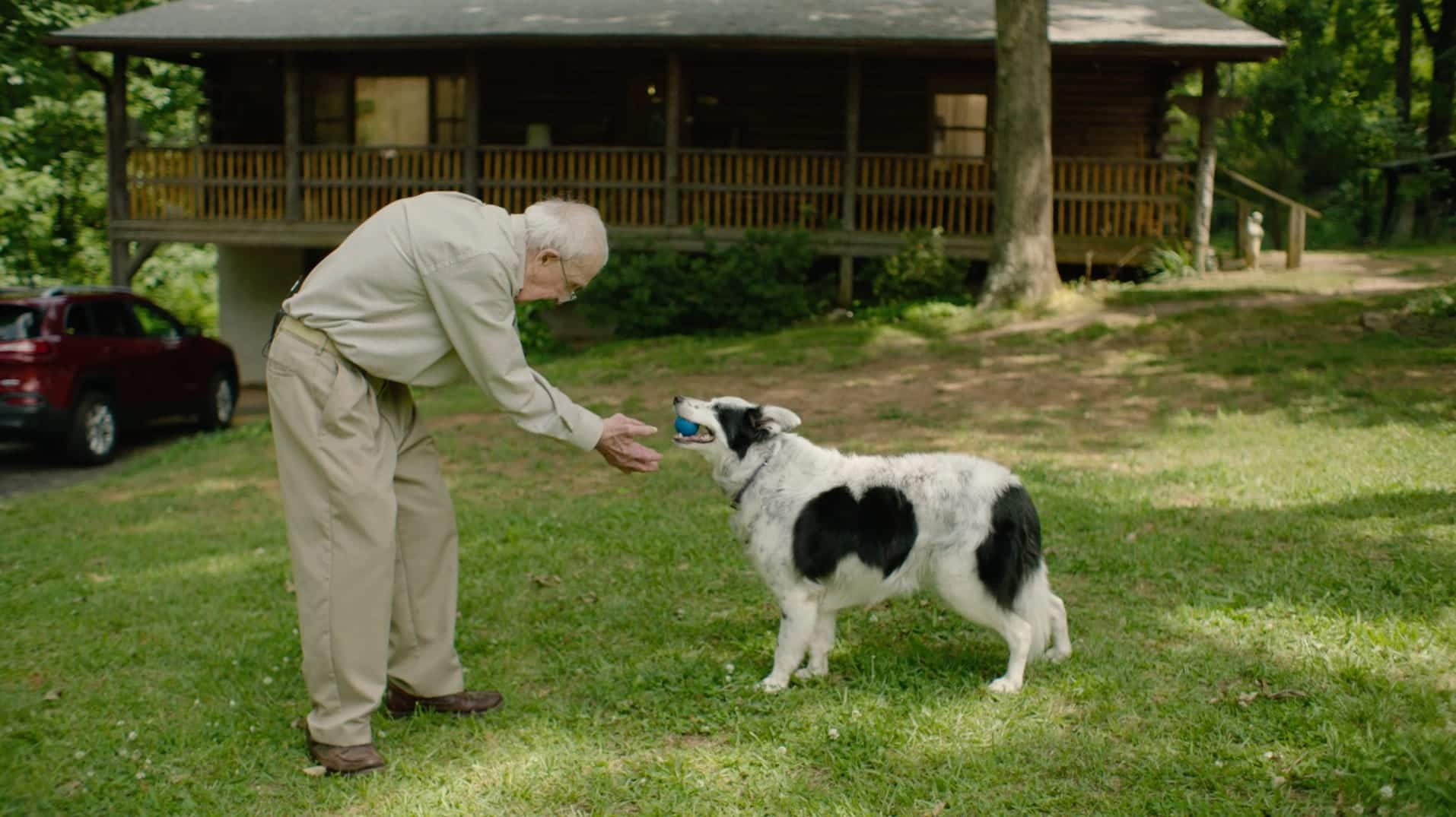 Chaser, a border collie who has learned over 1,000 words, gives a ball to her owner, John Pilley.