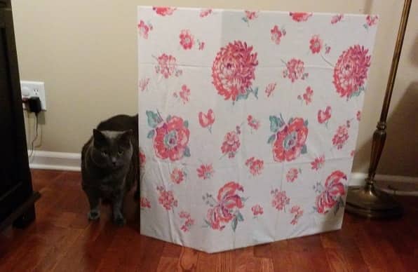 Gray cat walking out from behind a cat litter box privacy screen covered in floral print.