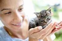 Handling kittens