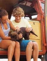 Transportation