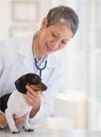 Finding vet