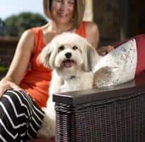 Adult dog on raft