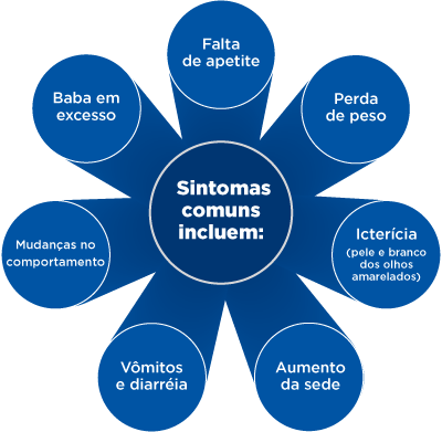 Common signs of liver disease