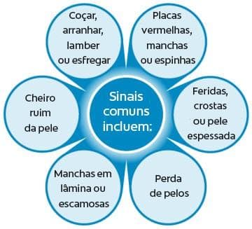 Common signs of dental disease