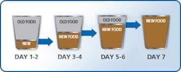 7-day transition schedule
