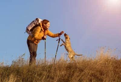 Female hiker in yellow jacket gives a dog a treat on top of hill.