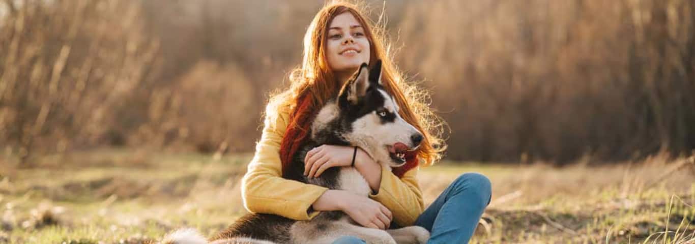 Foto de um cão Husky Siberiano