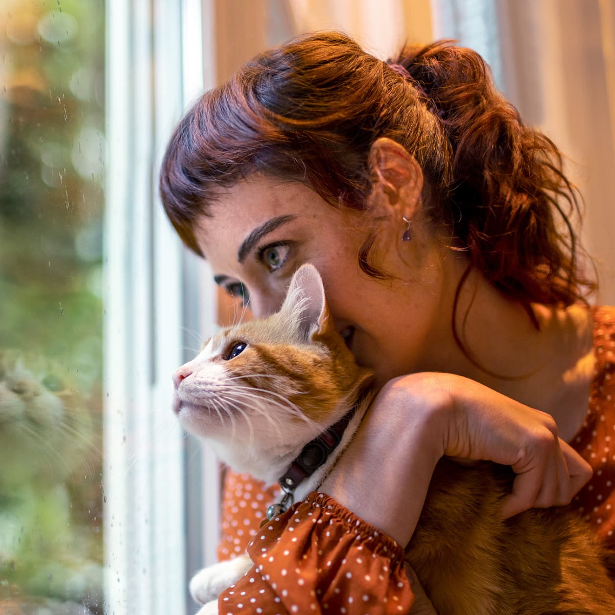 O que causa doença renal em gatos?