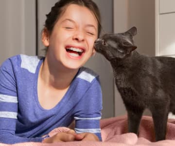 Um gato preto lambe o rosto de uma jovem