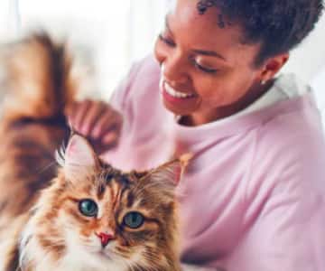Uma mulher brincando com seu gato marrom-branco em uma cama