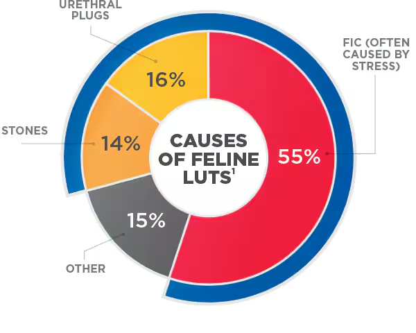 Gráfico mostrando as causas de LUTS felinos