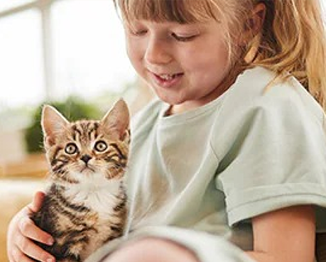 Menina com gato feliz