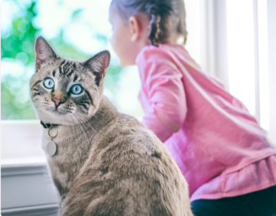 Uma garotinha sentada ao lado de um gato com excesso de peso