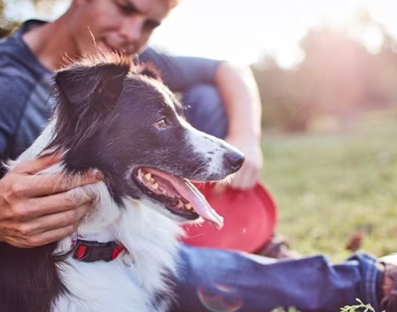 Um homem acariciando seu cachorro de estimação
