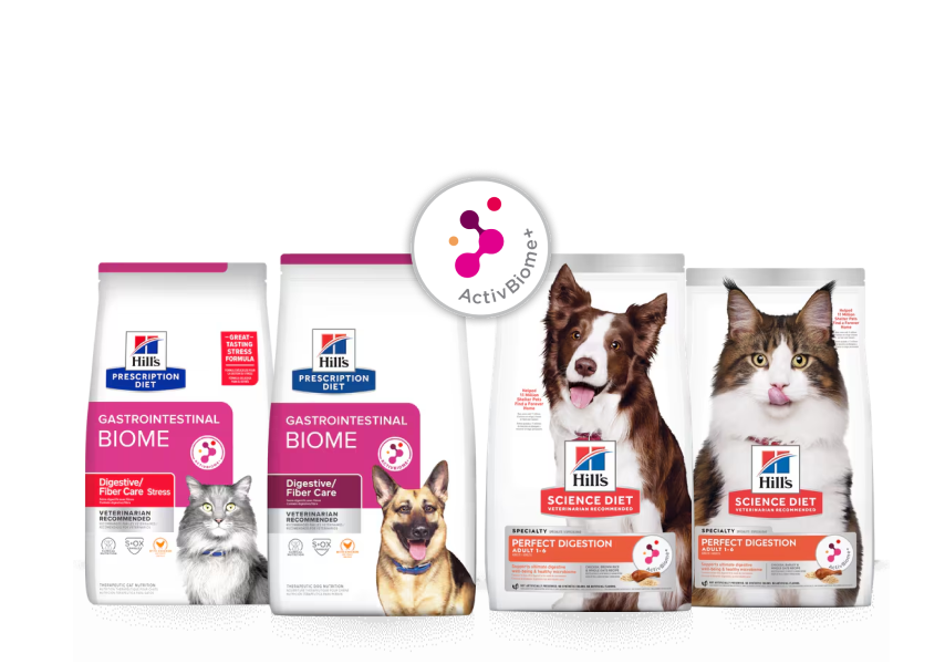 Embalagem da ração Hill's Pet Science Diet Active Biome