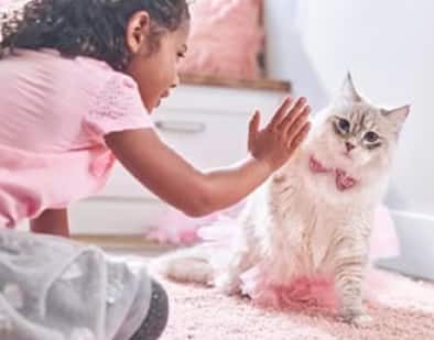 Uma criança brincando com um gatinho