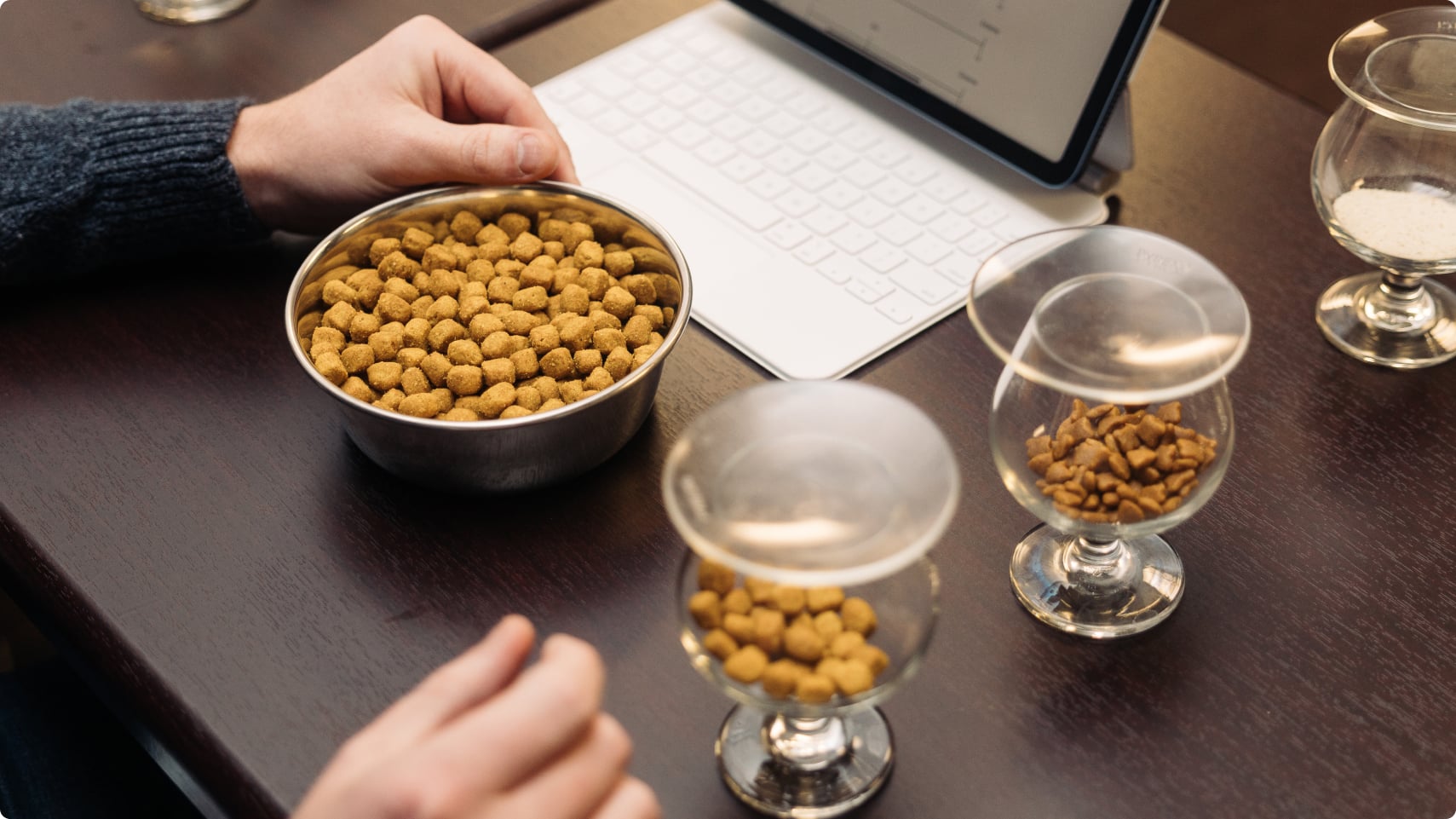 Pesquisador da Hill's Pet testando diferentes tamanhos de ração