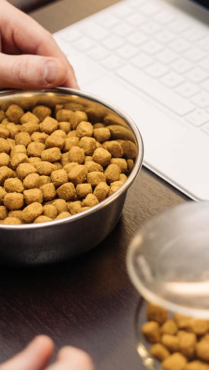  Pesquisador da Hill's Pet testando diferentes tamanhos de ração