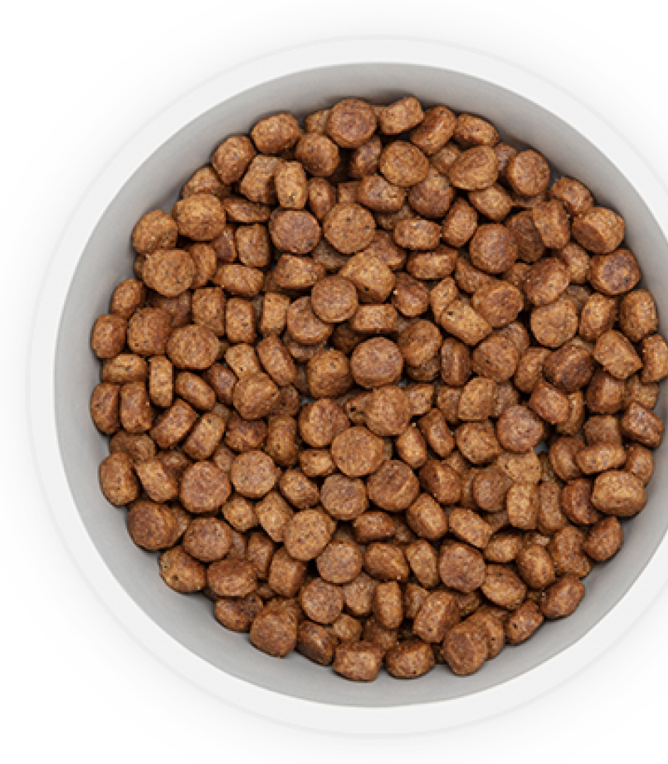 Comida para cachorro