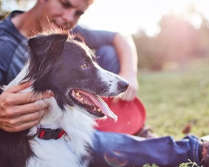 Um homem acariciando seu cachorro de estimação