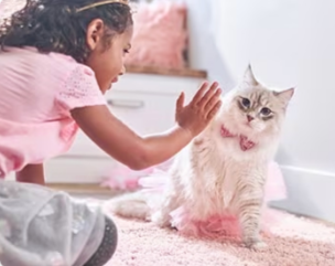 Uma criança brincando com um gatinho
