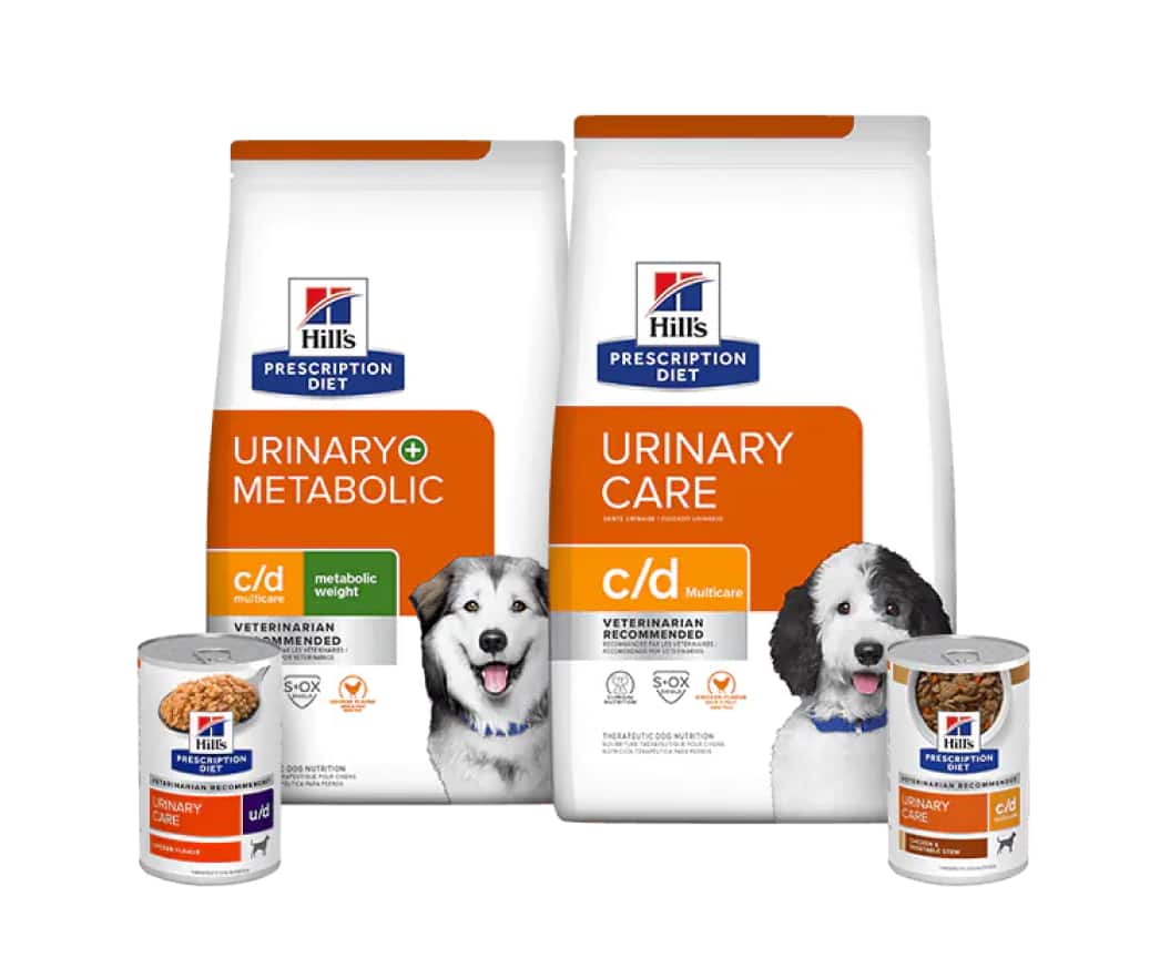 Ração para cães para cuidados urinários