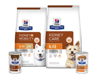 Ração para cães para cuidados renais