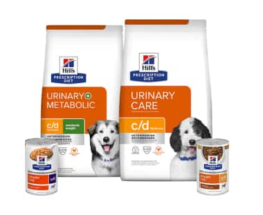 Ração para cães para cuidados urinários