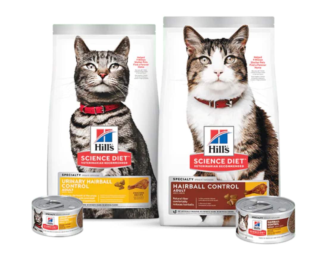 Alimento científico leve e com peso ideal para gatos