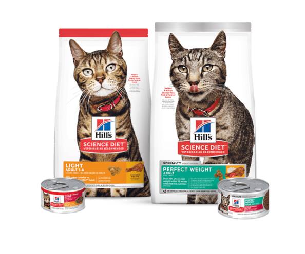 Ração Science light e perfect weight para gatos