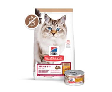 Alimento científico leve e com peso ideal para gatos