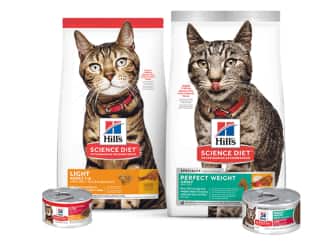 Ração Science light e perfect weight para gatos
