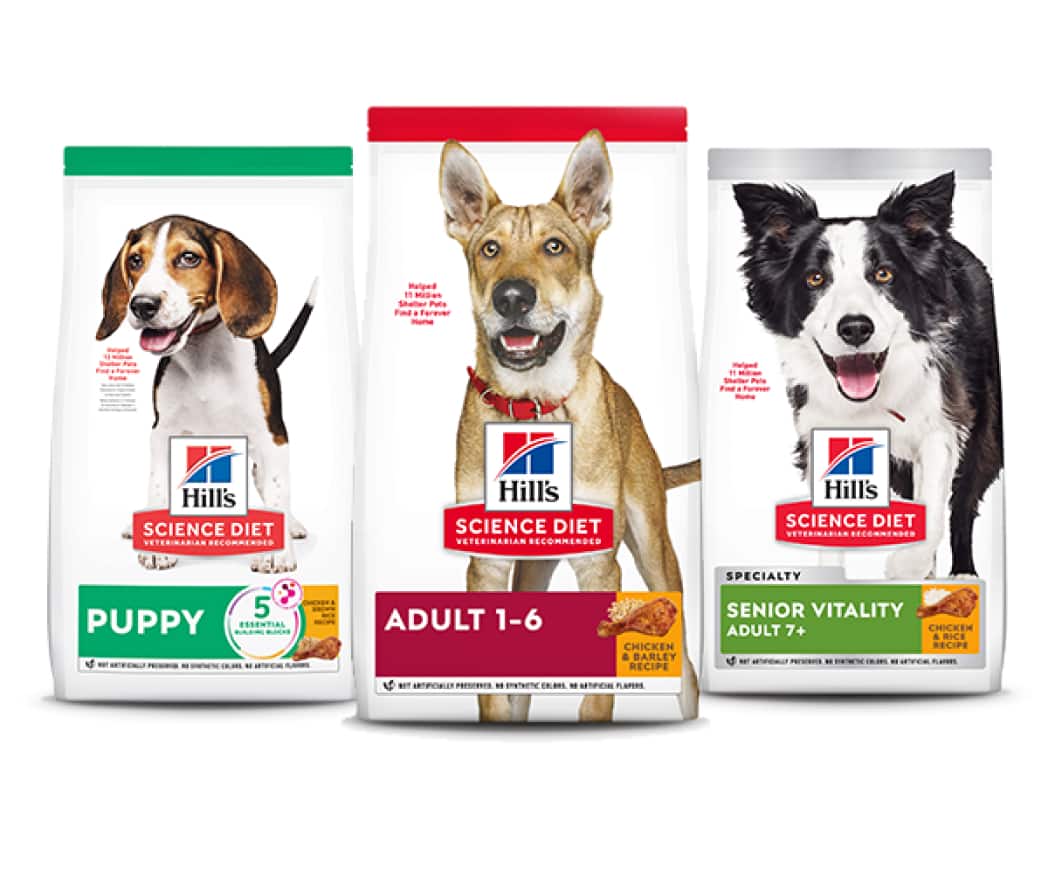 Alimentos para cães