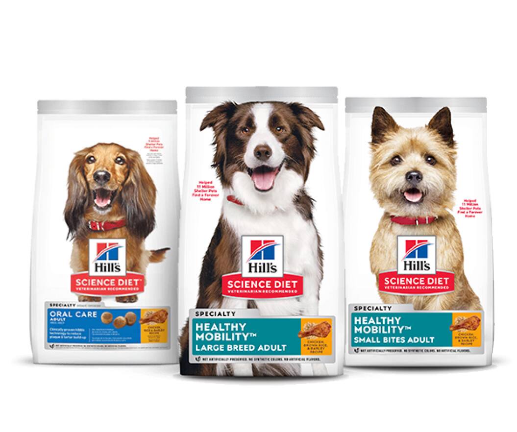 Alimentos Science Diet para cães