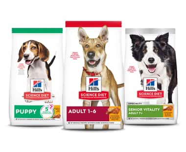 Alimentos para cães