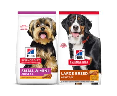 Science Diet para cães de raças pequenas e grandes