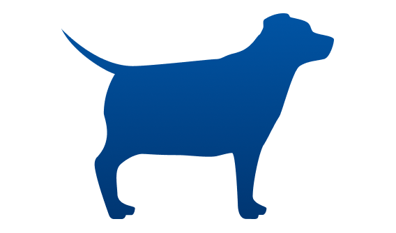 Cão acima do peso