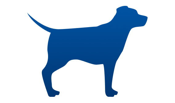 peso ideal do cão