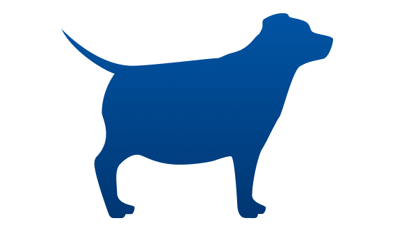 Cão com excesso de peso