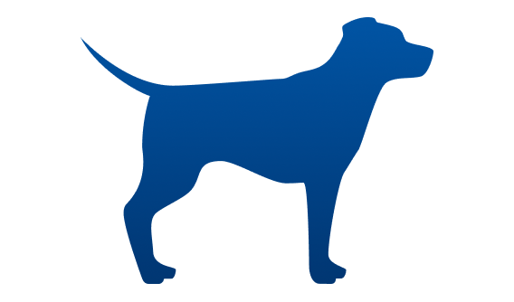 Cachorro abaixo do peso