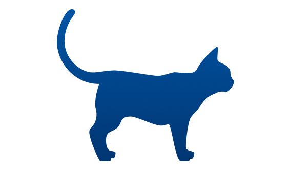 Gato abaixo do peso