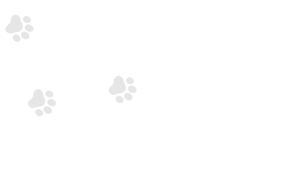 Marcas de patas