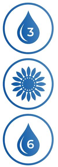 Ícone de ômega 3, flor, ômega 6