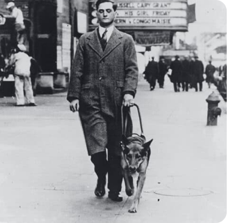 Morris Frank caminhando com seu cão, Buddy