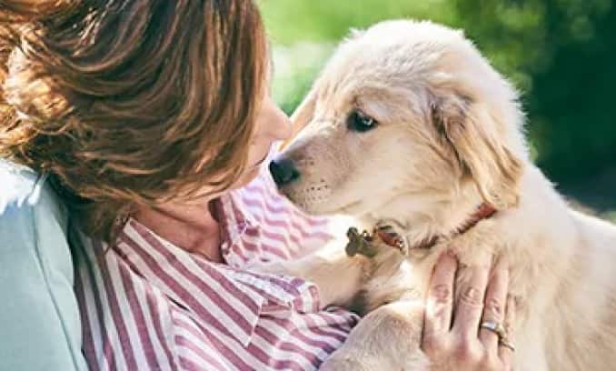 Uma mulher segurando um filhote de golden retriever nos braços