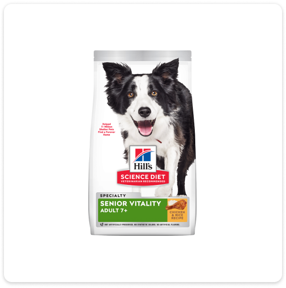 Embalagem do alimento seco para cães sênior da Hill's Science Diet