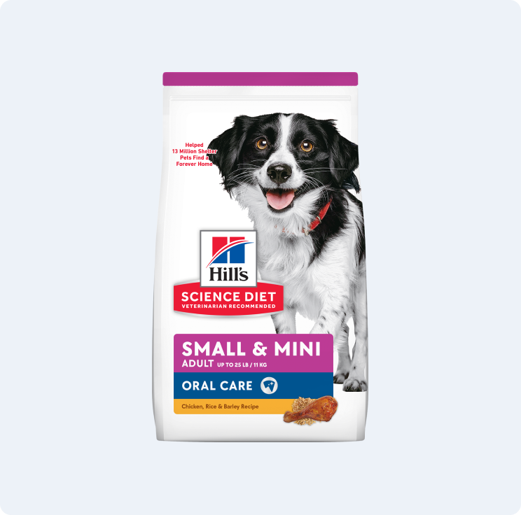 Um saco de ração seca para cães Hill's Science Diet Small & Mini