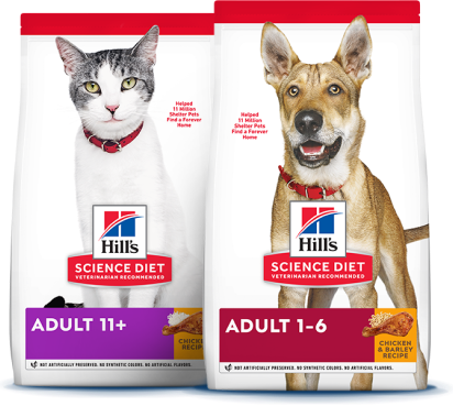 Pacotes de Science Diet para cães e gatos